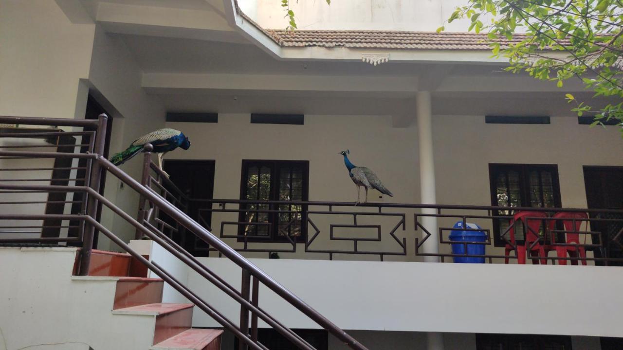 Pebblecoast Beach Resort โกวาลัม ภายนอก รูปภาพ